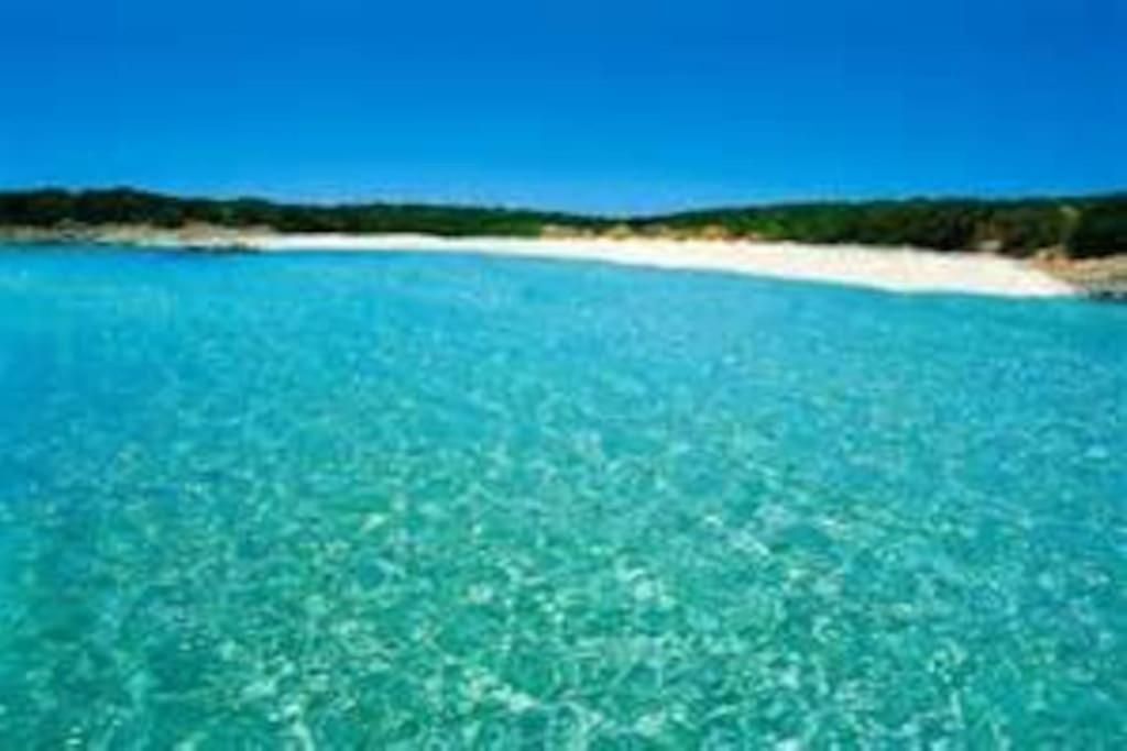 Appartamento Con Piscina E Aria Condizionata La Maddalena  Exterior photo